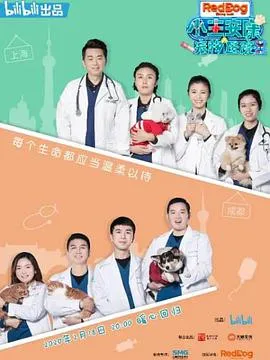 四月的长久梦
